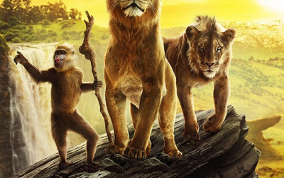 EL origen del ciclo de la vida